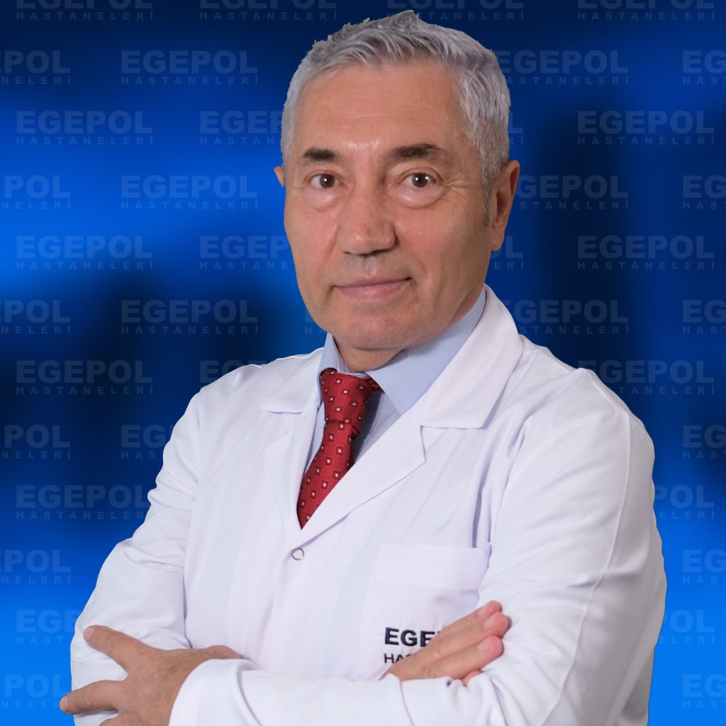 İsmet Alan